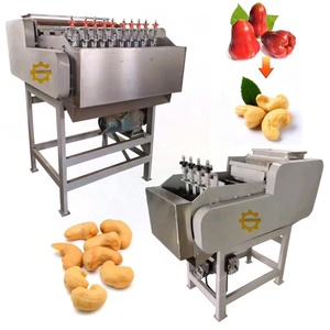 Full Automatic Cashew Nut Grading <strong>Sorting</strong> Boiling <strong>Shell</strong> Breaking Peeling Shelling Processing <strong>Machine</strong> - Product Image 3