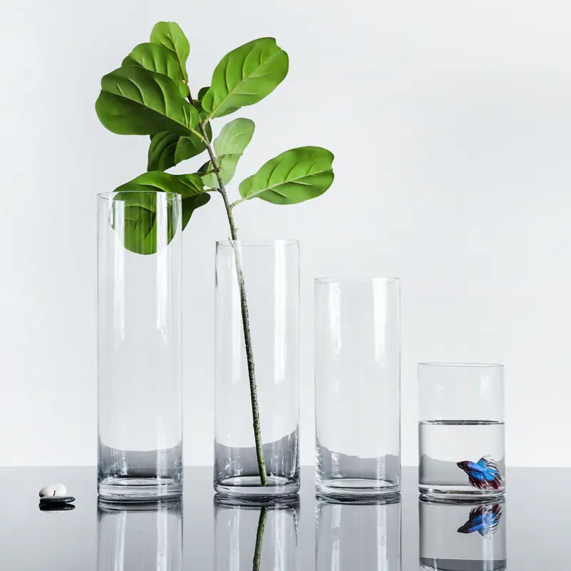 Vaso de vidro hidropônico para plantas, tamanho diferente barato