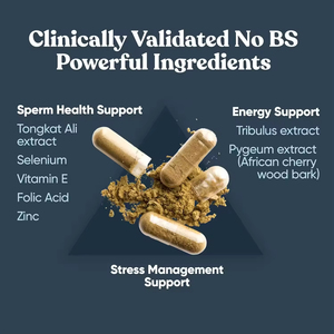 WELLBODY Private Label Fornecimento de Fábrica OEM/ODM Concepção Cápsula para Homens Força Fertilidade Concepção Saudável para Adultos - Product Image 4