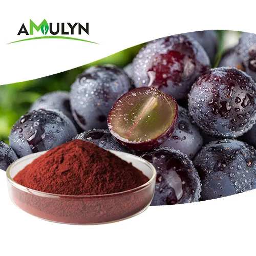 Extracto natural de semilla de uva de grado alimenticio, sin aditivos