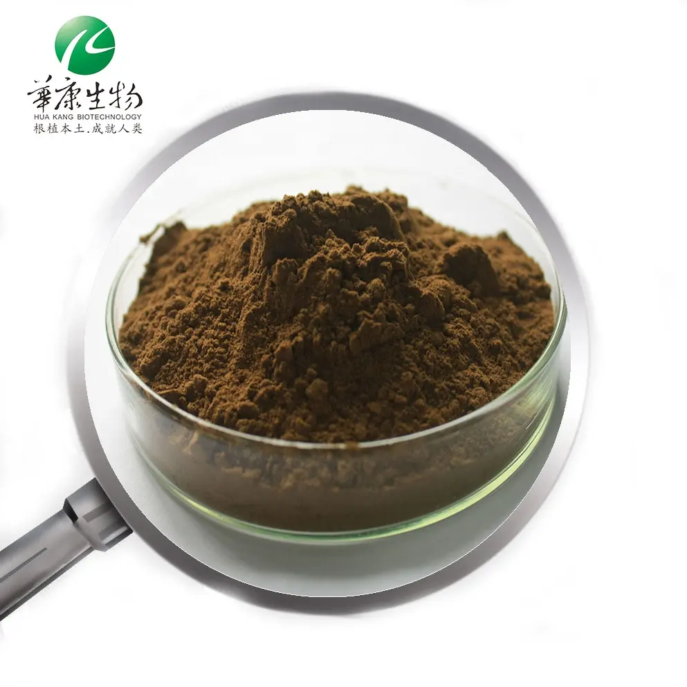 Bột Chiết Xuất Yerba Mate Bột Trà Yerba Mate