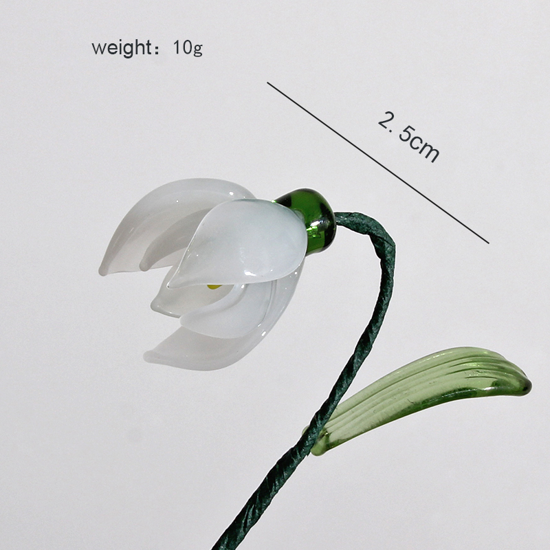 Magnolia di gennaio