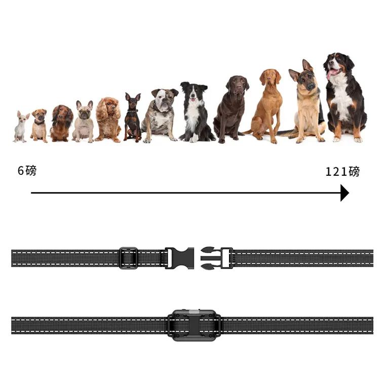 2023 nuovo telecomando Trainer collare GPS Tracker per Pet Dog Cat Keys portafoglio Bag Kids