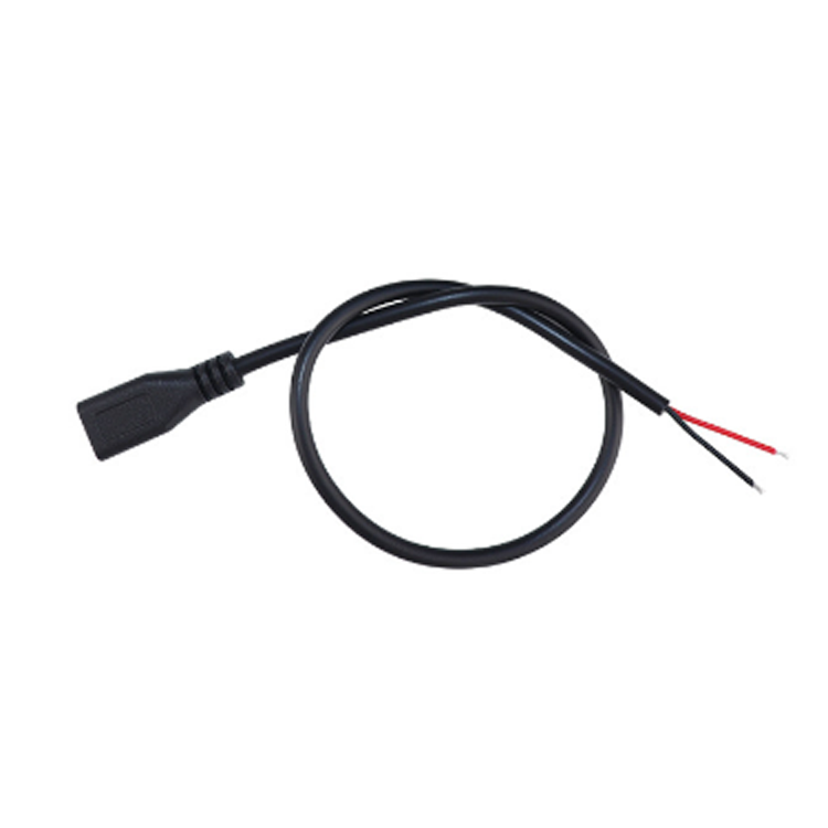Cargador micro hembra de 2 núcleos Negro