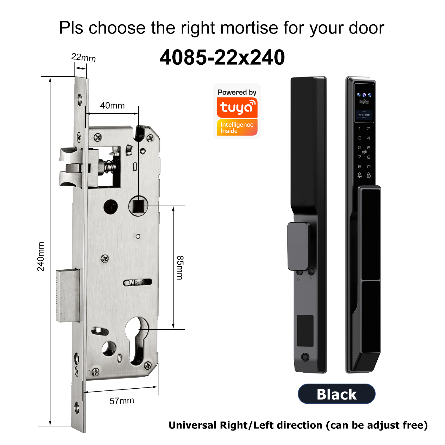 Z5 with 4085 Swing Single-point Mortise(22x240mm)