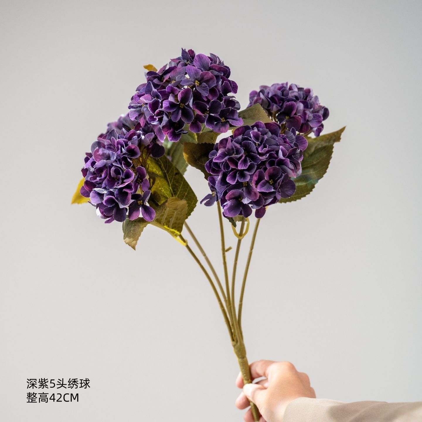 Hortensia violet foncé