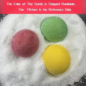 Crystal Planting DIY Science <strong>Experiment</strong> Set Fun Parent-child Communication Chemistry <strong>Experiment</strong> a <strong>Gift</strong> for a Child - Product Image 6
