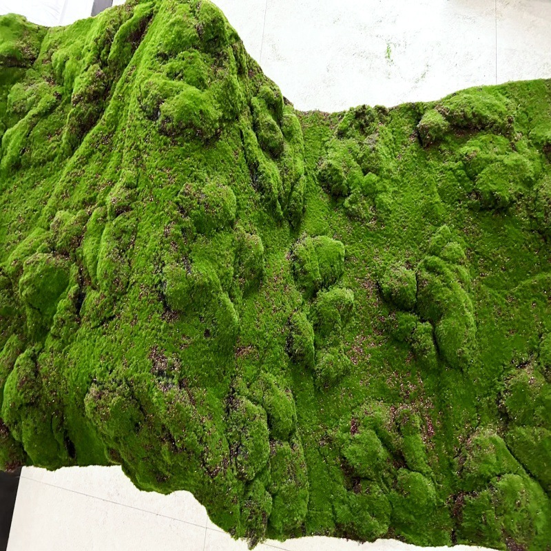 Vert-07