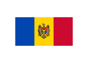 100% ポリエステルシルクスクリーンプリント3x5ftベラルーシ共和国ロシアラトビアウクライナリトアニア共和国モルドバ国旗