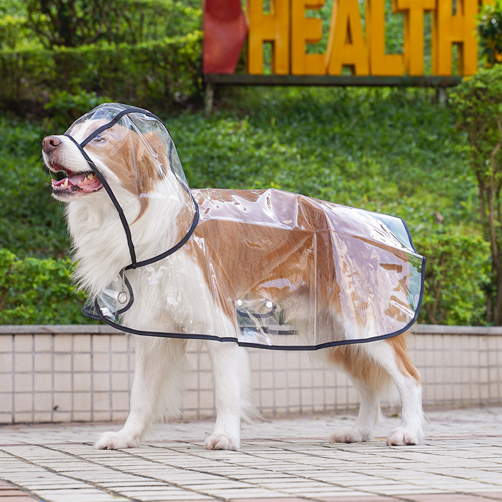 Pure transparent raincoat with black trim
