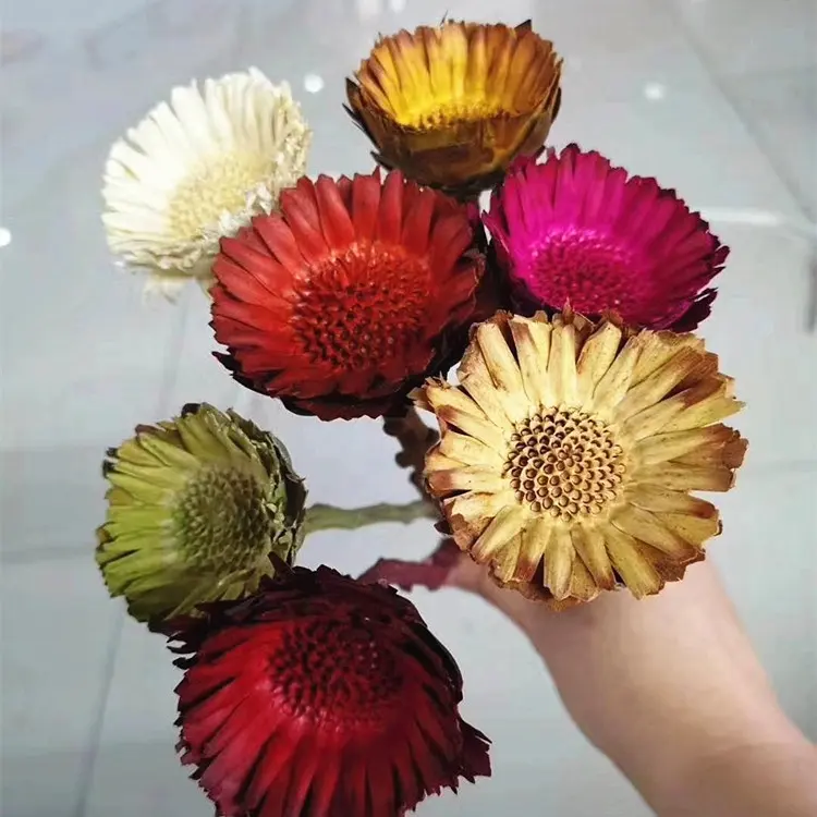 wholesale DIY flower material dried flower real natural dried African sunflowers for home decoration