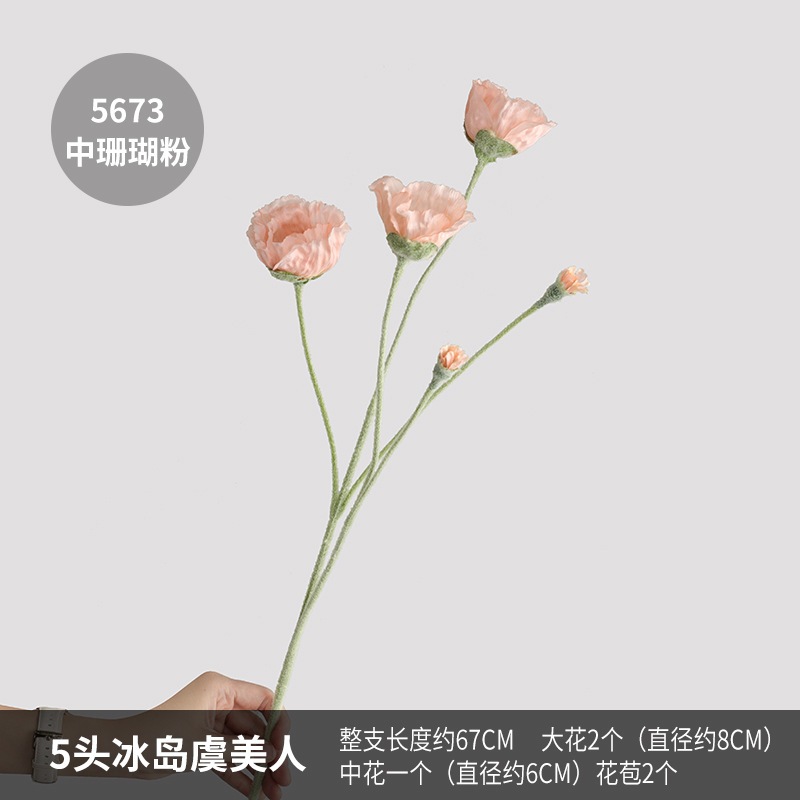 5673 medium coral powder