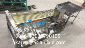 <strong>Dates</strong> Size Sorter <strong>Machine</strong> UAE <strong>Date</strong> Palm <strong>Sorting</strong> <strong>Machine</strong> <strong>Dates</strong> Grading <strong>Machine</strong> - Product Image 6