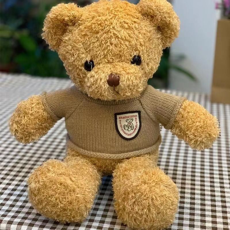 Brown sweater seaweed bear