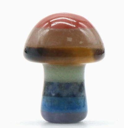 Petit champignon