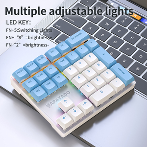 Tastiera numerica USB 1.5m RGB 33 tasti PBT per computer portatili tabulazione superficie del Notebook contabilità tastiera meccanica - Product Image 3