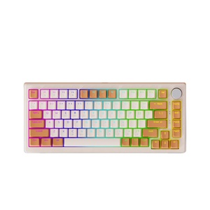FG75 özelleştirme Mechanicai klavye FD taşınabilir mekanik oyun klavyesi Windows Laptop için LED aydınlatmalı kompakt 82 tuşları - Product Image 2