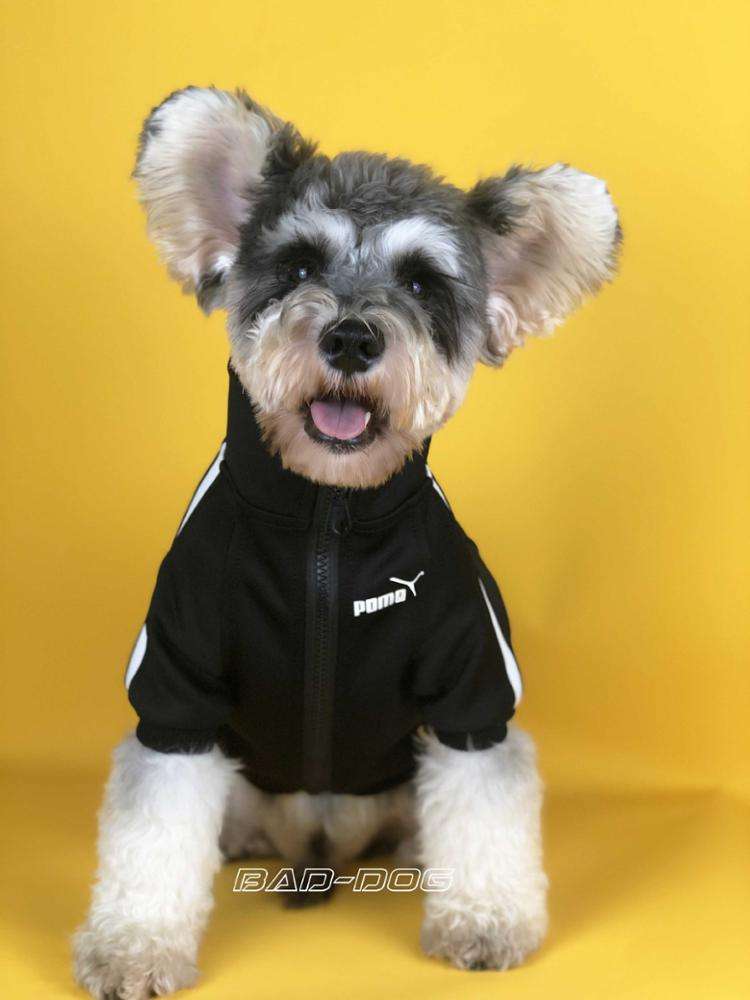 Black dog sport clothes