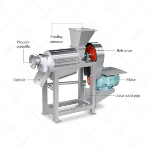 Mango elma 220V Squizing Hydra çıkarıcı sıkacağı hattı ticari hindistan cevizi süt makinesi makine meyve suyu makinesi - Product Image 3