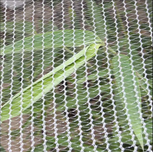 Factory Supply Anti-hail <strong>Net</strong> / Hail Protection <strong>Net</strong> / apple Tree Anti Hail - Product Image 3