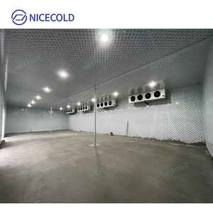 NICECOLD özelleştirilebilir soğuk oda depolama Walk-In soğutucu kutu 12X7X8 Blast dondurucu oda et depolama dondurucu - Product Image 4