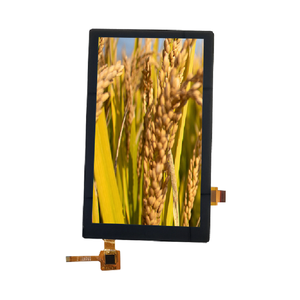 Produttore 4.0 personalizzato 5.0 pannello di controllo Touch Screen LCD da 7 10.1 da 5.5 pollici ip modulo RGB TFT Display LCD - Product Image 3