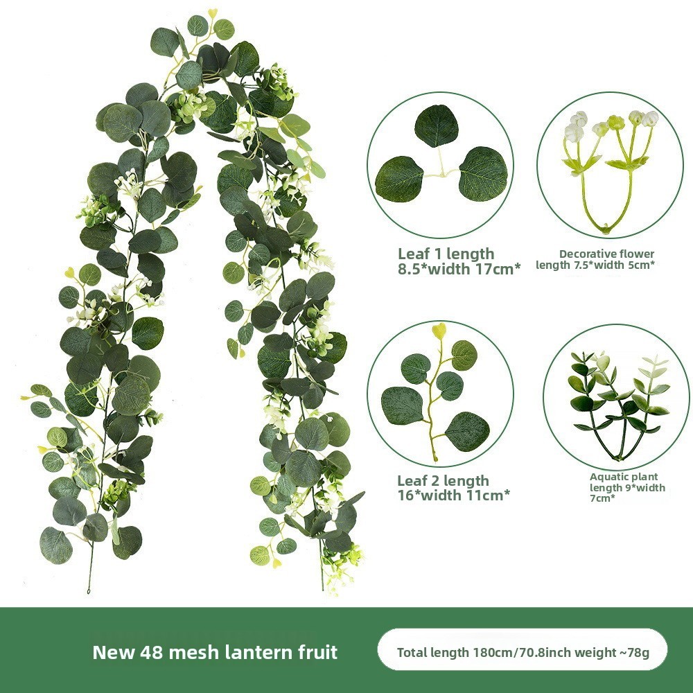 48 lantern fruit