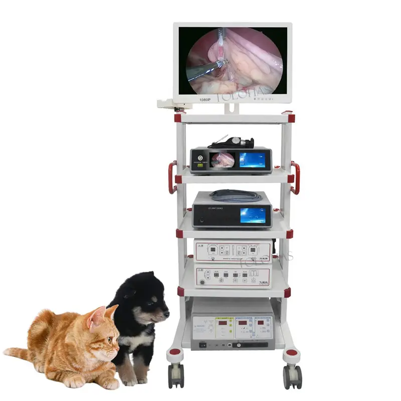 LHWL3 Medical Pet Video Endoscopio Veterinario Gastrointestinal Laparoscopia Cámara Set