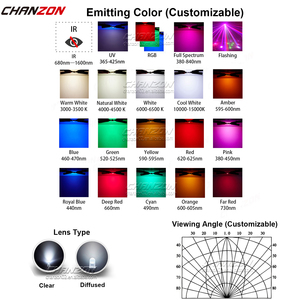 Özel 1.8 2 3 5 8 10 mm kablolu LED diyot beyaz kırmızı yeşil mavi RGB ön kablolu LED tel yuvarlak Oval düz üst 3V 5V 6V 9V 12V - Product Image 4