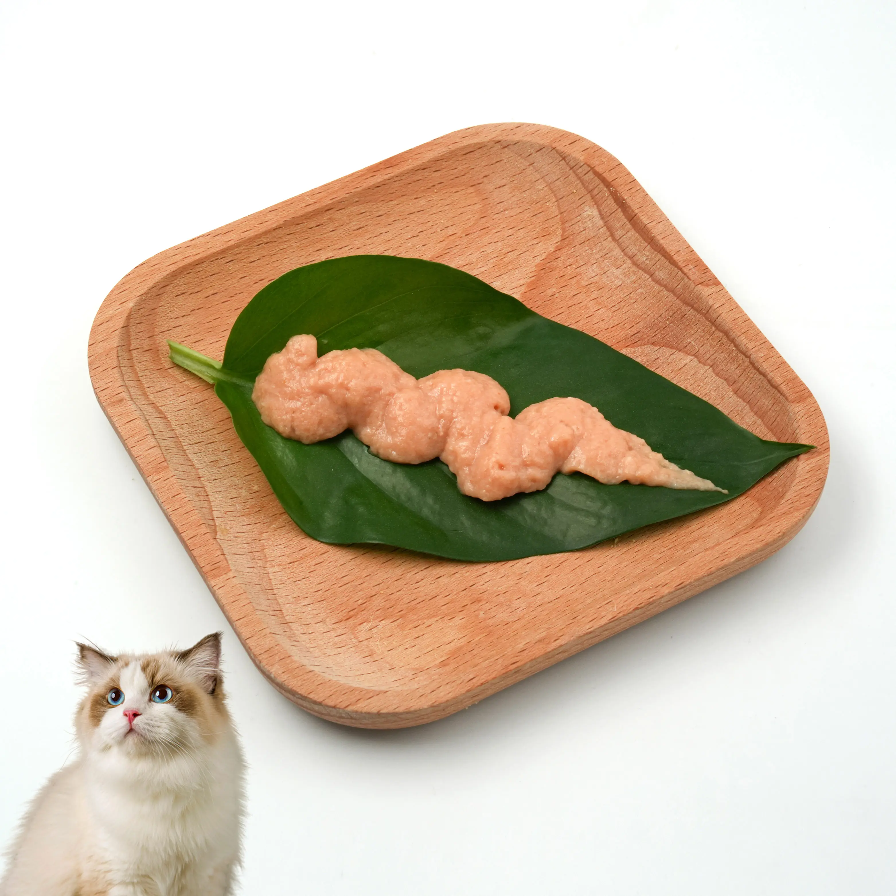Vente en gros très vendue complément nutritionnel bandes de thon pour chat friandises crémeuses pour chat aliments humides pour animaux domestiques