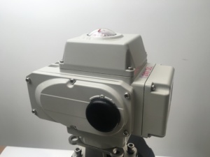 Tonheflow DN50 DN65 DN80 DN100 2 yollu 100NM 24V DC elektrik aktüatörlü PVC plastik gerçek sendika motorlu bilyalı vana - Product Image 6