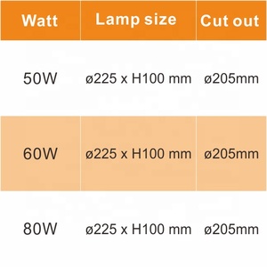 Yüksek kaliteli proje aşağı ışık gömme yuvarlak alüminyum 50w 60w 80w 8 inç cob led modül downlight - Product Image 4