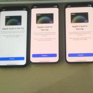 Small Cards Are Used for the <strong>Apple</strong> Cash Account. - Product Image 4