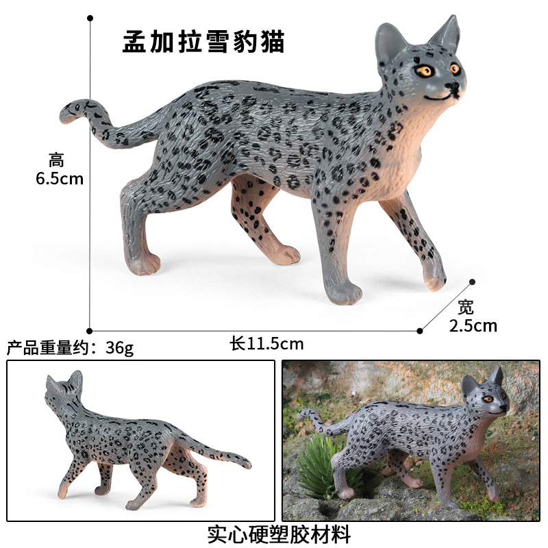M-2503 de Bengala Snow Leopard cat