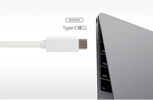 タイプC電力線アダプターイーサネットRJ45メスイーサネットアダプター100Mbps/1000Mbps - Product Image 5