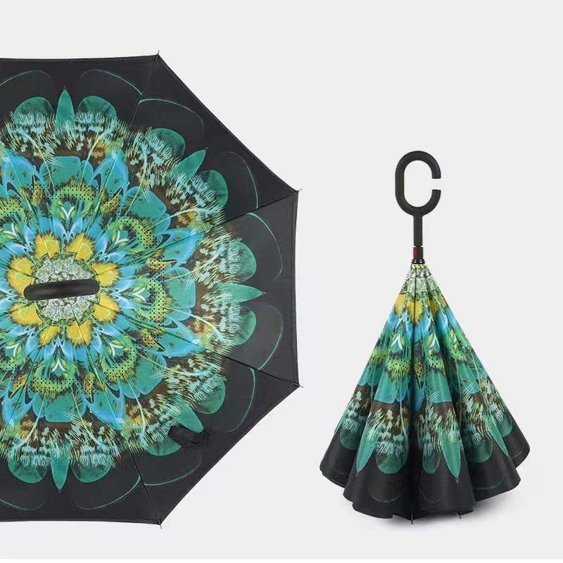 Green peacock