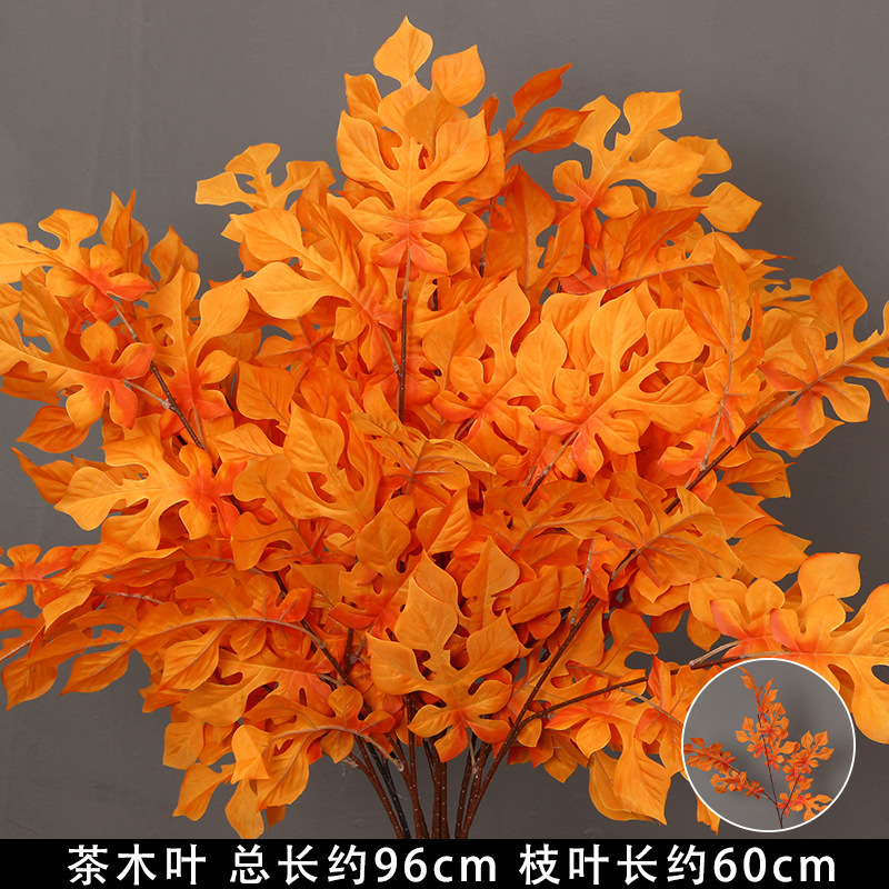 Branche de feuille d'arbre à thé orange