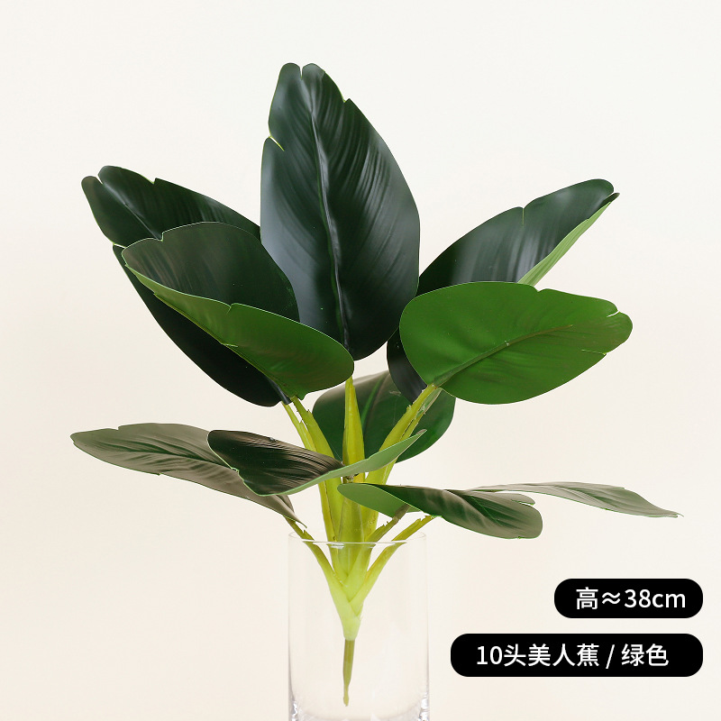 Lys canna à 10 têtes - vert