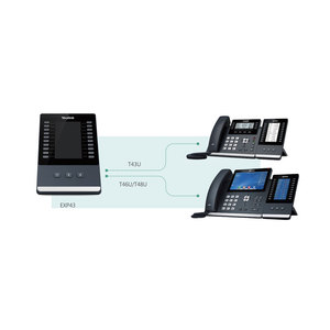 ใช่-Link VoIP โมดูลขยายสี-EXP43 - Product Image 5