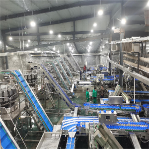 Weighing <strong>Machine</strong> Dates a Kneading <strong>and</strong> <strong>Sorting</strong> <strong>Machine</strong> for Sale - Product Image 2