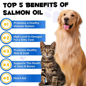犬と猫のための健康補助食品用OEMペットサプリメント深海魚油皮膚と髪のオメガ3液体に栄養を与えます - Product Image 4