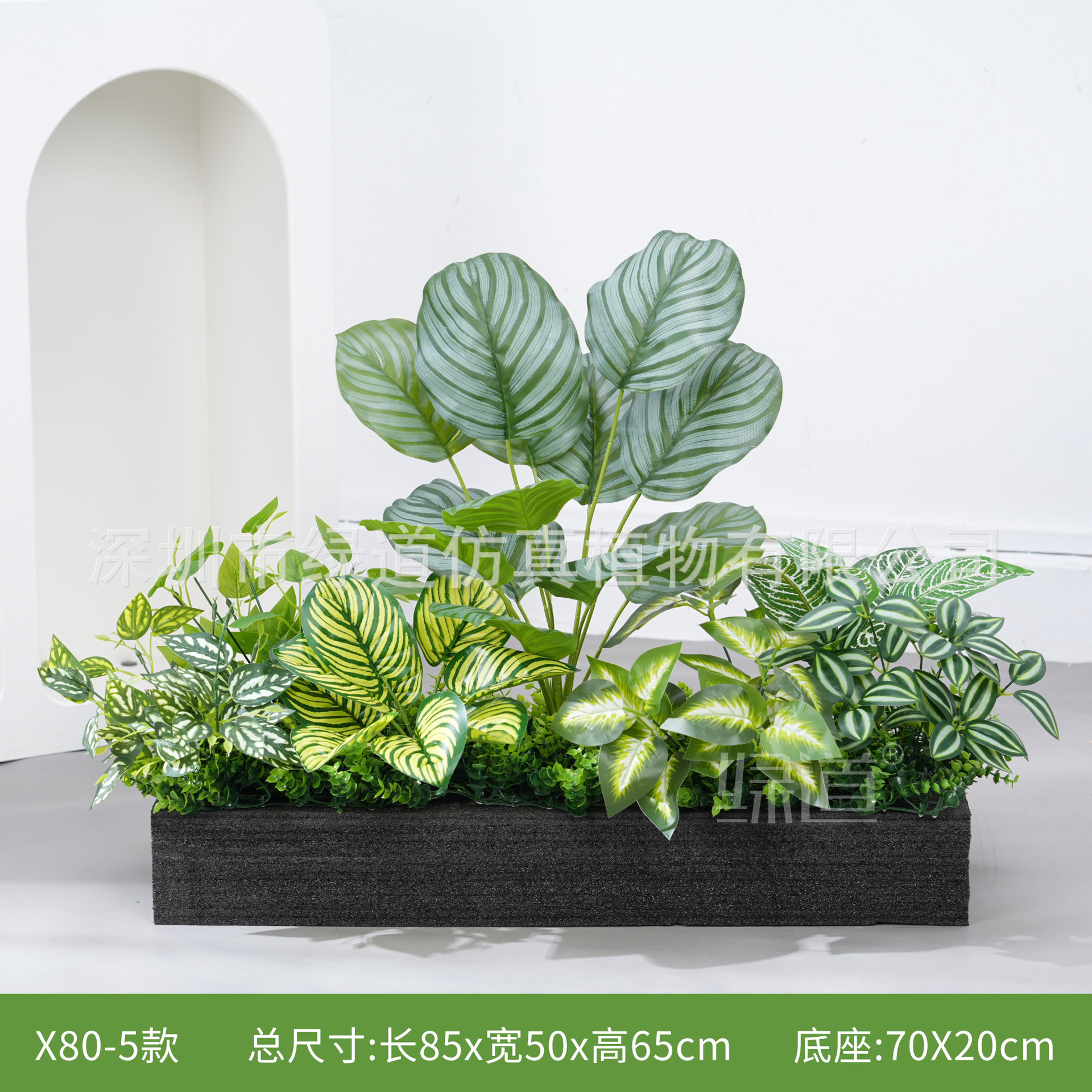 hc-X80-5 convient aux jardinières de 80 cm