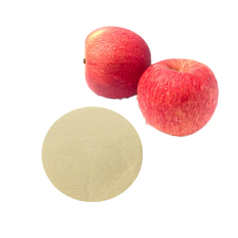 Polvere di succo di mela in polvere di frutta di mela ad alta purezza per integratore alimentare
