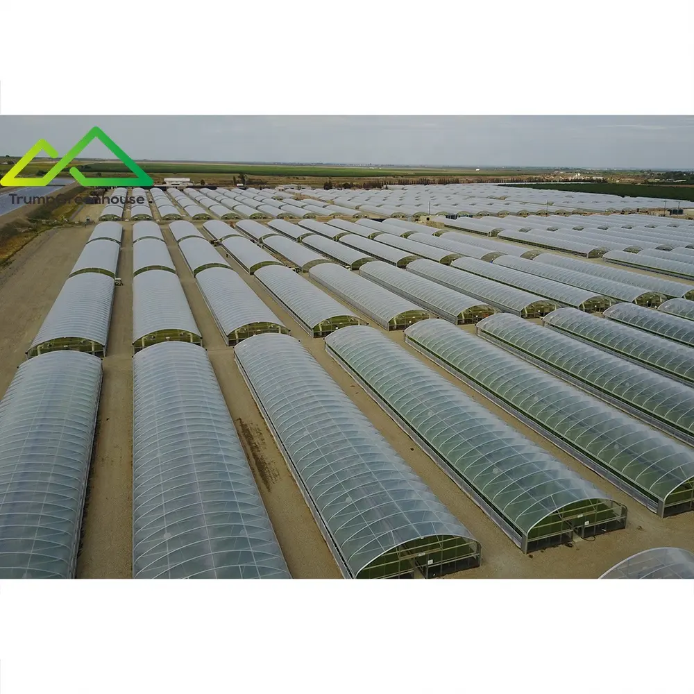 high tunnel greenhouse manufacture cheap price germination heating greenhouse galvanized steel tube