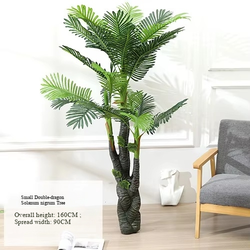 Small Double Dragon Palm Tree (Without Pot)