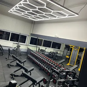 Заводской потолочный светильник