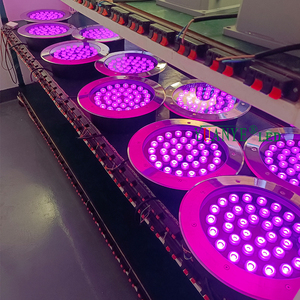 RGB 36 ICs/m Pixel Points Programed SPI Controller or <strong>Raspberry</strong> <strong>Pi</strong> RGBW Inground Light IP67 Yuanyeled YY-DMR001