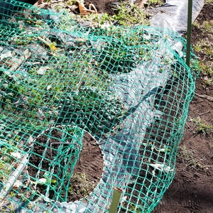 Зеленая высокопрочная защитная сетка для овощей, HDPE, УФ-обработанная защита от птиц, садовая сетка - Product Image 3