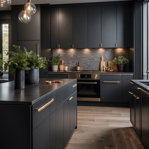 خزانة مطبخ فاخرة حديثة ذكية من الخشب وصديقه للتركيب من Goldtop مع صنبور أثاث مخزن جاهز للتجميع - Product Image 2