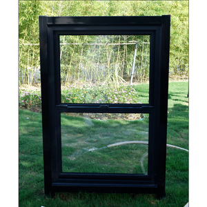 American Replacement Ceiling <strong>Window</strong> Aluminum Facade Vertical Sliding Double Single <strong>Sash</strong> <strong>Window</strong> with Screen <strong>Window</strong> - Product Image 2